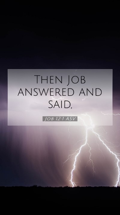 Picture 07 - Job 12:1 ASV Mobile Phone Wallpaper - Then Job answered and - Mobile Bible Verse Wallpaper
