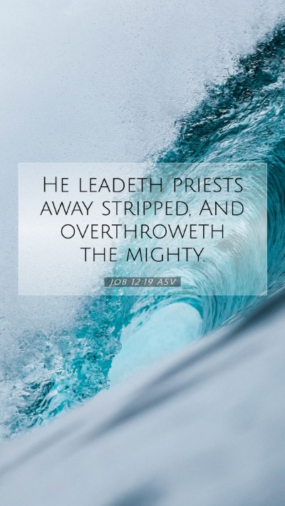 Picture 07 - Job 12:19 ASV Mobile Phone Wallpaper - He leadeth priests away stripped, And - Mobile Bible Verse Wallpaper