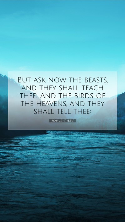 Picture 07 - Job 12:7 ASV Mobile Phone Wallpaper - But ask now the beasts, and they shall teach - Mobile Bible Verse Wallpaper