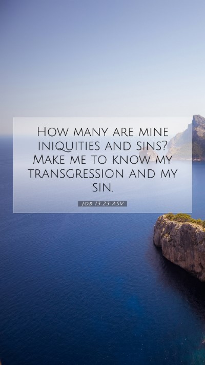 Picture 07 - Job 13:23 ASV Mobile Phone Wallpaper - How many are mine iniquities and sins? Make me to - Mobile Bible Verse Wallpaper