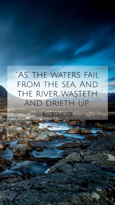 Picture 07 - Job 14:11 ASV Mobile Phone Wallpaper - `As' the waters fail from the sea, And the river - Mobile Bible Verse Wallpaper