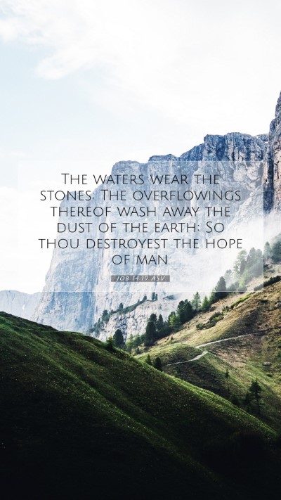 Picture 07 - Job 14:19 ASV Mobile Phone Wallpaper - The waters wear the stones; The overflowings - Mobile Bible Verse Wallpaper