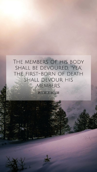 Picture 07 - Job 18:13 ASV Mobile Phone Wallpaper - The members of his body shall be devoured, `Yea', - Mobile Bible Verse Wallpaper