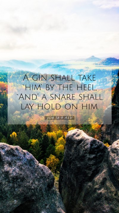 Picture 07 - Job 18:9 ASV Mobile Phone Wallpaper - A gin shall take `him' by the heel, `And' a snare - Mobile Bible Verse Wallpaper