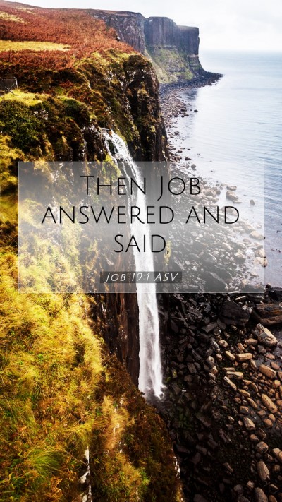 Picture 07 - Job 19:1 ASV Mobile Phone Wallpaper - Then Job answered and - Mobile Bible Verse Wallpaper