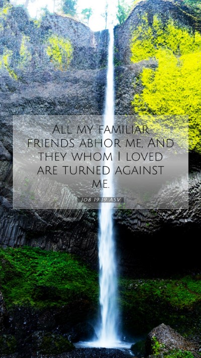 Picture 07 - Job 19:19 ASV Mobile Phone Wallpaper - All my familiar friends abhor me, And they whom I - Mobile Bible Verse Wallpaper