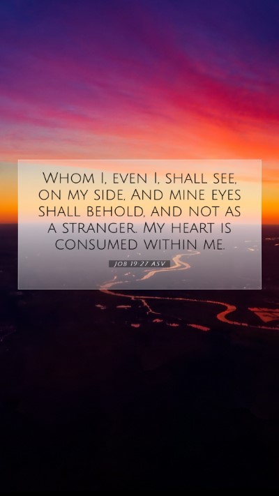 Picture 07 - Job 19:27 ASV Mobile Phone Wallpaper - Whom I, even I, shall see, on my side, And mine - Mobile Bible Verse Wallpaper