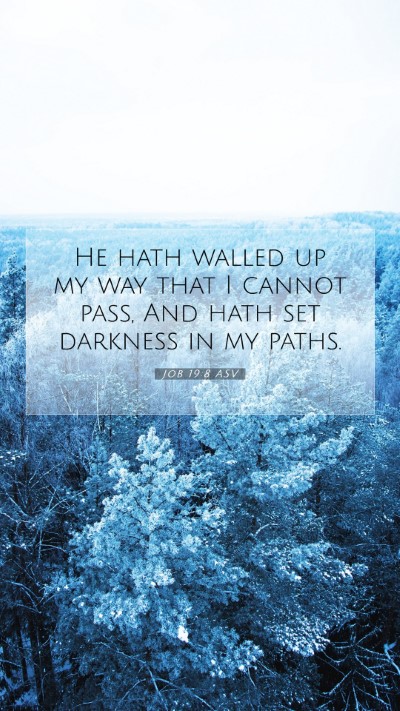 Picture 07 - Job 19:8 ASV Mobile Phone Wallpaper - He hath walled up my way that I cannot pass, And - Mobile Bible Verse Wallpaper