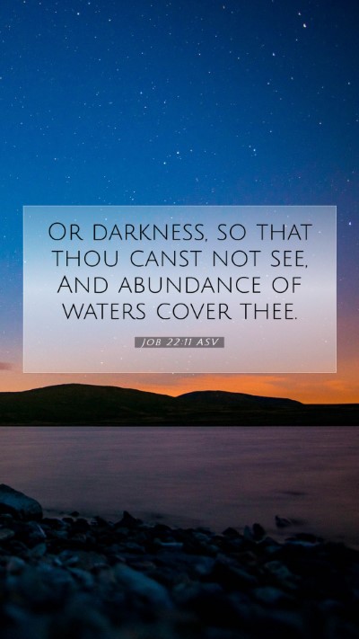 Picture 07 - Job 22:11 ASV Mobile Phone Wallpaper - Or darkness, so that thou canst not see, And - Mobile Bible Verse Wallpaper
