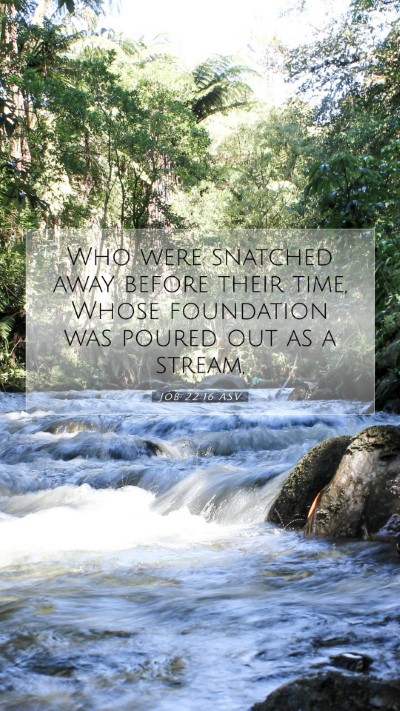 Picture 07 - Job 22:16 ASV Mobile Phone Wallpaper - Who were snatched away before their time, Whose - Mobile Bible Verse Wallpaper