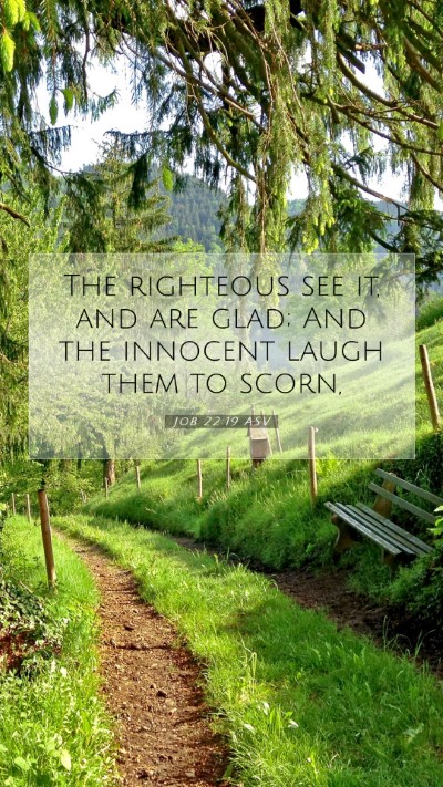 Picture 07 - Job 22:19 ASV Mobile Phone Wallpaper - The righteous see it, and are glad; And the - Mobile Bible Verse Wallpaper