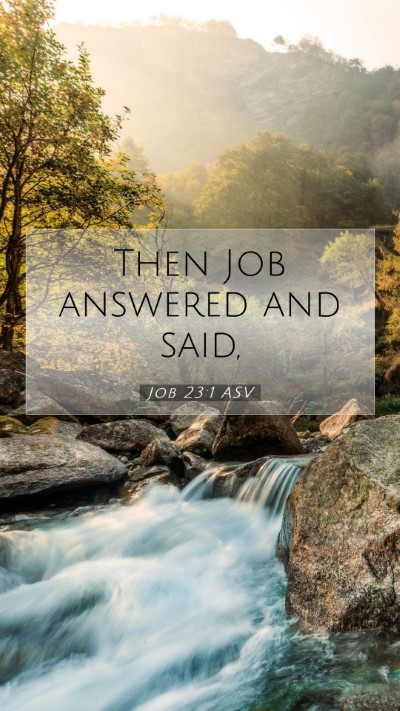 Picture 07 - Job 23:1 ASV Mobile Phone Wallpaper - Then Job answered and - Mobile Bible Verse Wallpaper