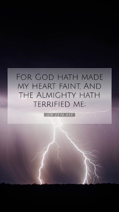 Picture 07 - Job 23:16 ASV Mobile Phone Wallpaper - For God hath made my heart faint, And the - Mobile Bible Verse Wallpaper