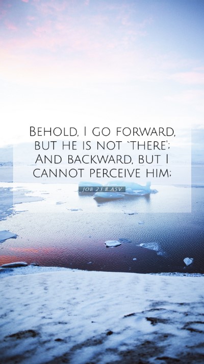 Picture 07 - Job 23:8 ASV Mobile Phone Wallpaper - Behold, I go forward, but he is not `there'; And - Mobile Bible Verse Wallpaper