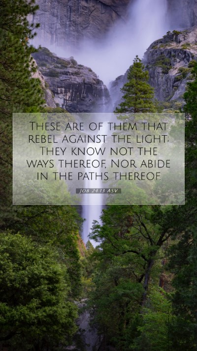 Picture 07 - Job 24:13 ASV Mobile Phone Wallpaper - These are of them that rebel against the light; - Mobile Bible Verse Wallpaper