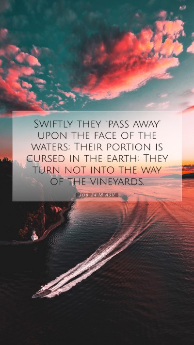 Picture 07 - Job 24:18 ASV Mobile Phone Wallpaper - Swiftly they `pass away' upon the face of the - Mobile Bible Verse Wallpaper