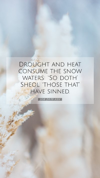 Picture 07 - Job 24:19 ASV Mobile Phone Wallpaper - Drought and heat consume the snow waters: `So - Mobile Bible Verse Wallpaper