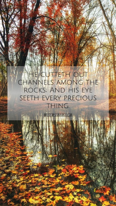 Picture 07 - Job 28:10 ASV Mobile Phone Wallpaper - He cutteth out channels among the rocks; And his - Mobile Bible Verse Wallpaper