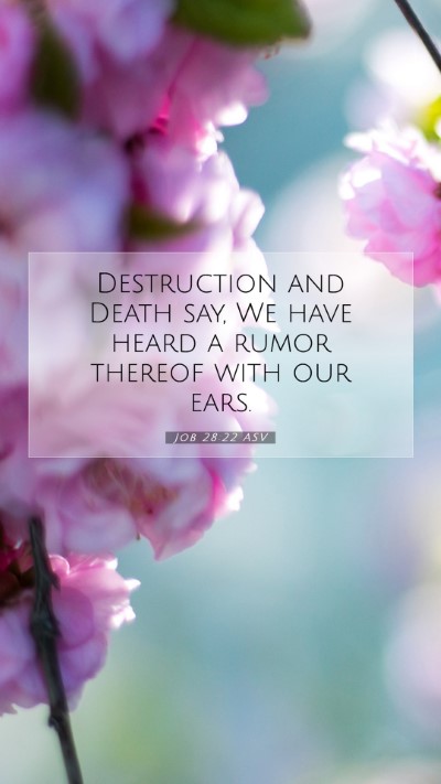 Picture 07 - Job 28:22 ASV Mobile Phone Wallpaper - Destruction and Death say, We have heard a rumor - Mobile Bible Verse Wallpaper