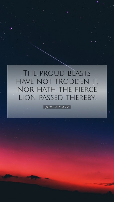 Picture 07 - Job 28:8 ASV Mobile Phone Wallpaper - The proud beasts have not trodden it, Nor hath - Mobile Bible Verse Wallpaper