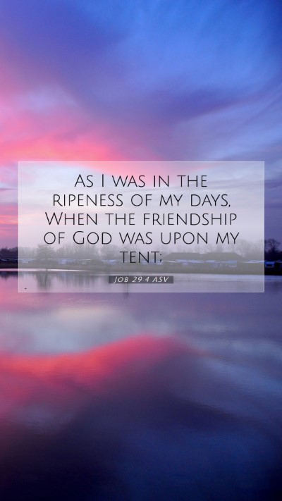 Picture 07 - Job 29:4 ASV Mobile Phone Wallpaper - As I was in the ripeness of my days, When the - Mobile Bible Verse Wallpaper