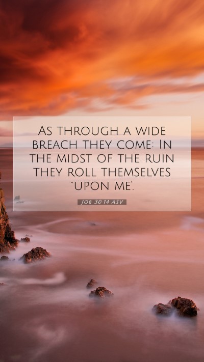 Picture 07 - Job 30:14 ASV Mobile Phone Wallpaper - As through a wide breach they come: In the midst - Mobile Bible Verse Wallpaper