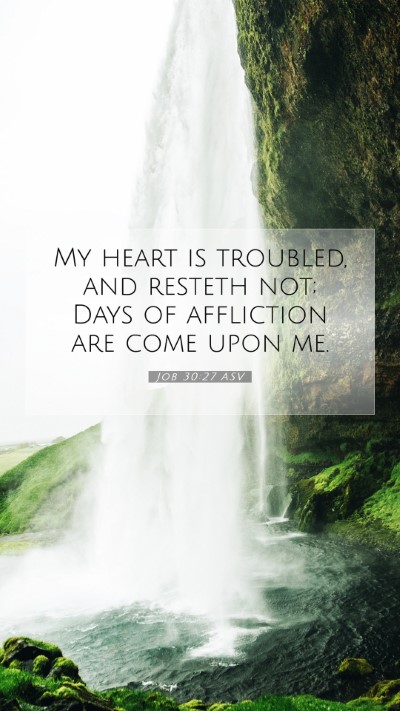 Picture 07 - Job 30:27 ASV Mobile Phone Wallpaper - My heart is troubled, and resteth not; Days of - Mobile Bible Verse Wallpaper