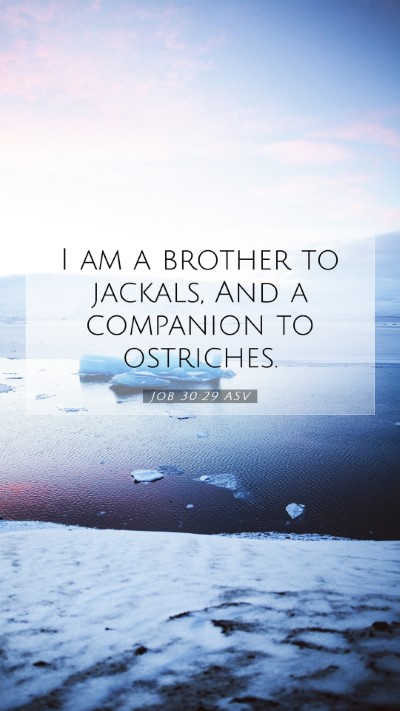 Picture 07 - Job 30:29 ASV Mobile Phone Wallpaper - I am a brother to jackals, And a companion to - Mobile Bible Verse Wallpaper
