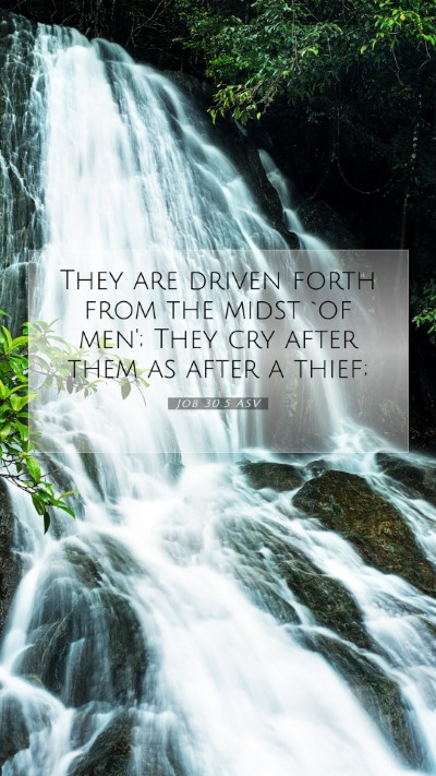 Picture 07 - Job 30:5 ASV Mobile Phone Wallpaper - They are driven forth from the midst `of men'; - Mobile Bible Verse Wallpaper