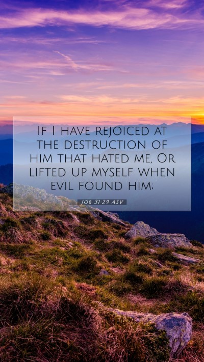 Picture 07 - Job 31:29 ASV Mobile Phone Wallpaper - If I have rejoiced at the destruction of him that - Mobile Bible Verse Wallpaper
