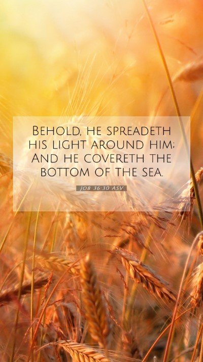 Picture 07 - Job 36:30 ASV Mobile Phone Wallpaper - Behold, he spreadeth his light around him; And he - Mobile Bible Verse Wallpaper