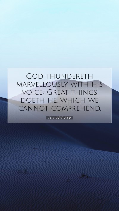 Picture 07 - Job 37:5 ASV Mobile Phone Wallpaper - God thundereth marvellously with his voice; Great - Mobile Bible Verse Wallpaper