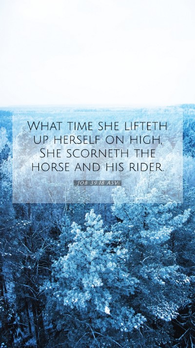 Picture 07 - Job 39:18 ASV Mobile Phone Wallpaper - What time she lifteth up herself on high, She - Mobile Bible Verse Wallpaper