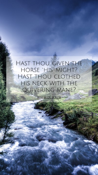 Picture 07 - Job 39:19 ASV Mobile Phone Wallpaper - Hast thou given the horse `his' might? Hast thou - Mobile Bible Verse Wallpaper