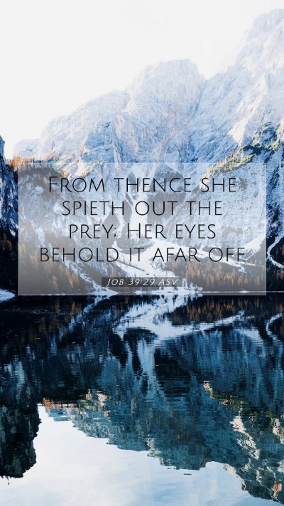 Picture 07 - Job 39:29 ASV Mobile Phone Wallpaper - From thence she spieth out the prey; Her eyes - Mobile Bible Verse Wallpaper