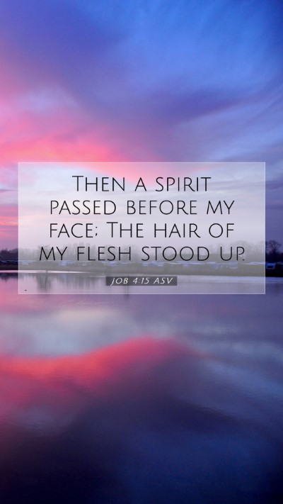 Picture 07 - Job 4:15 ASV Mobile Phone Wallpaper - Then a spirit passed before my face; The hair of - Mobile Bible Verse Wallpaper