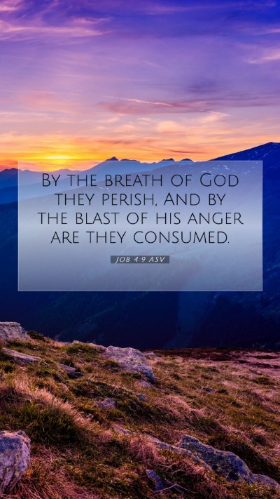 Picture 07 - Job 4:9 ASV Mobile Phone Wallpaper - By the breath of God they perish, And by the - Mobile Bible Verse Wallpaper