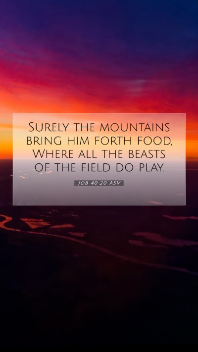 Picture 07 - Job 40:20 ASV Mobile Phone Wallpaper - Surely the mountains bring him forth food, Where - Mobile Bible Verse Wallpaper