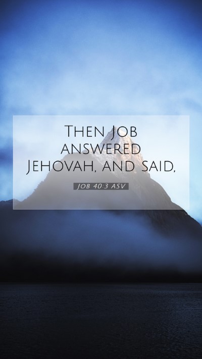 Picture 07 - Job 40:3 ASV Mobile Phone Wallpaper - Then Job answered Jehovah, and - Mobile Bible Verse Wallpaper