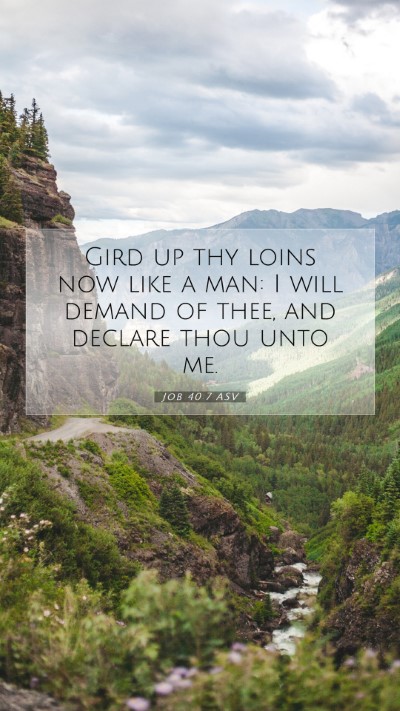 Picture 07 - Job 40:7 ASV Mobile Phone Wallpaper - Gird up thy loins now like a man: I will demand - Mobile Bible Verse Wallpaper