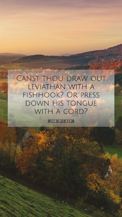 Picture 07 - Job 41:1 ASV Mobile Phone Wallpaper - Canst thou draw out leviathan with a fishhook? Or - Mobile Bible Verse Wallpaper
