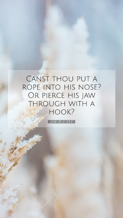 Picture 07 - Job 41:2 ASV Mobile Phone Wallpaper - Canst thou put a rope into his nose? Or pierce - Mobile Bible Verse Wallpaper