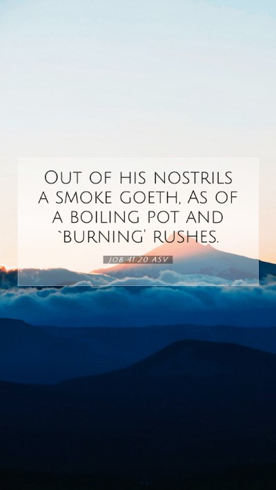 Picture 07 - Job 41:20 ASV Mobile Phone Wallpaper - Out of his nostrils a smoke goeth, As of a - Mobile Bible Verse Wallpaper