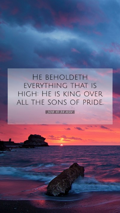 Picture 07 - Job 41:34 ASV Mobile Phone Wallpaper - He beholdeth everything that is high: He is king - Mobile Bible Verse Wallpaper