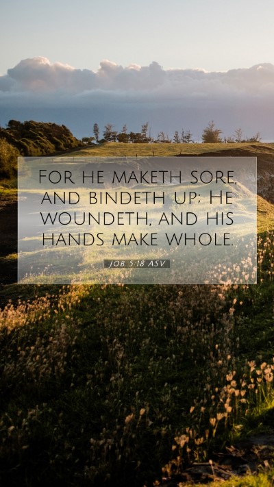 Picture 07 - Job 5:18 ASV Mobile Phone Wallpaper - For he maketh sore, and bindeth up; He woundeth, - Mobile Bible Verse Wallpaper
