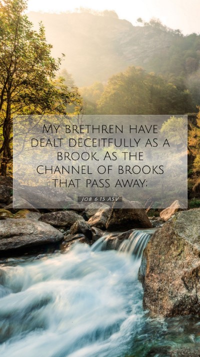 Picture 07 - Job 6:15 ASV Mobile Phone Wallpaper - My brethren have dealt deceitfully as a brook, As - Mobile Bible Verse Wallpaper