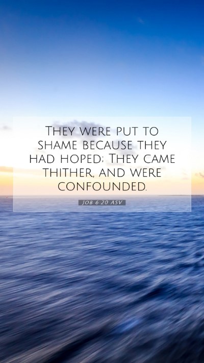 Picture 07 - Job 6:20 ASV Mobile Phone Wallpaper - They were put to shame because they had hoped; - Mobile Bible Verse Wallpaper