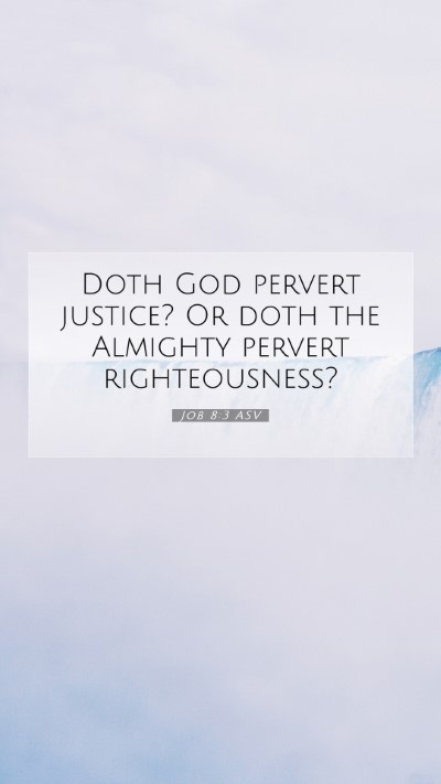 Picture 07 - Job 8:3 ASV Mobile Phone Wallpaper - Doth God pervert justice? Or doth the Almighty - Mobile Bible Verse Wallpaper