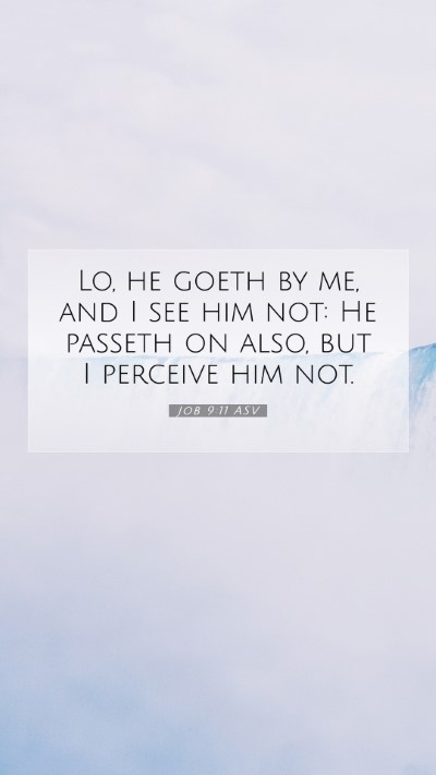 Picture 07 - Job 9:11 ASV Mobile Phone Wallpaper - Lo, he goeth by me, and I see him not: He passeth - Mobile Bible Verse Wallpaper