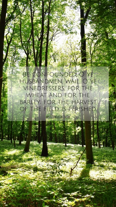 Picture 07 - Joel 1:11 ASV Mobile Phone Wallpaper - Be confounded, O ye husbandmen, wail, O ye - Mobile Bible Verse Wallpaper